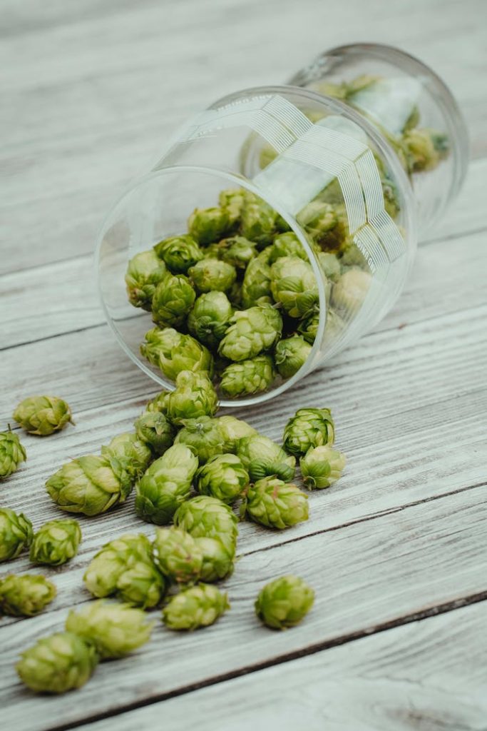 beer-hops-in-a-glass-on-wooden-surface-6502324 Close-up of green hop cones spilled from a glass on a wooden surface, showcasing fresh harvest.